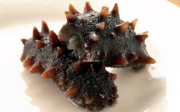 長(zhǎng)島野生干海參到底好在哪里？