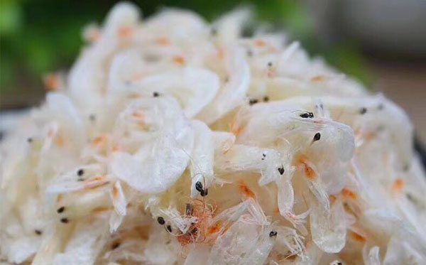 野生無鹽蝦皮針對于傳統(tǒng)蝦皮的優(yōu)勢