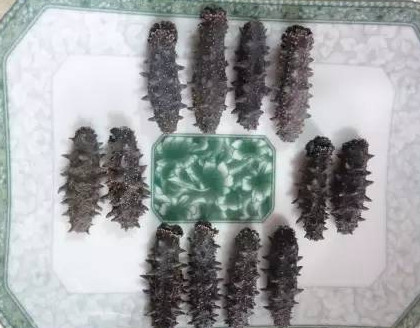 供應(yīng)高檔干海參禮盒，傳統(tǒng)晾曬