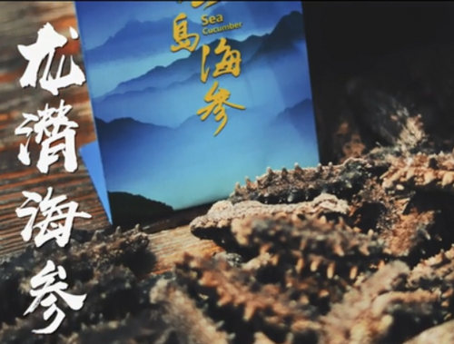 高檔淡干海參龍潛